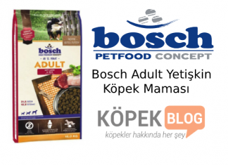 Bosch Adult Kuzu Etli Yetişkin Köpek Maması Nasıl? İnceleme ve Yorumlar bosch kuzu etli yetişkin köpek maması