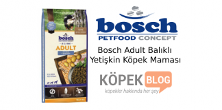 Bosch Adult Glutensiz Balıklı Ve Patatesli Yetişkin Köpek Maması