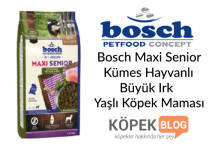 Bosch Maxi Senior Kümes Hayvanlı Büyük Irk Yaşlı Köpek Maması