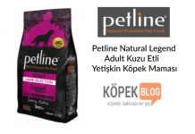 Petline Natural Legend Adult Kuzu Etli Yetişkin Köpek Maması