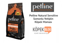 Petline Natural Sensitive Somonlu Yetişkin Köpek Maması