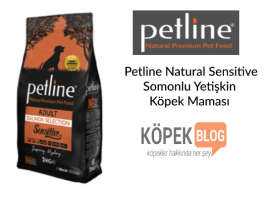Petline Natural Sensitive Somonlu Yetişkin Köpek Maması