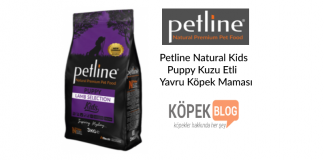 Petline Natural Kids Puppy Kuzu Etli Yavru Köpek Maması