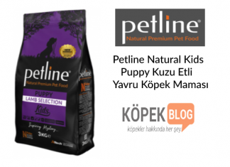 Petline Natural Kids Puppy Kuzu Etli Yavru Köpek Maması