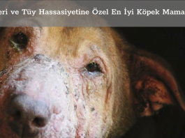 Köpeklerde Deri ve Tüy Hassasiyetini Önleyen Köpek Mamaları