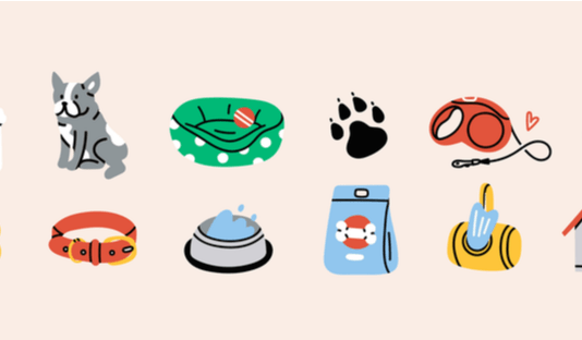 Köpekler için gerekli malzemeler