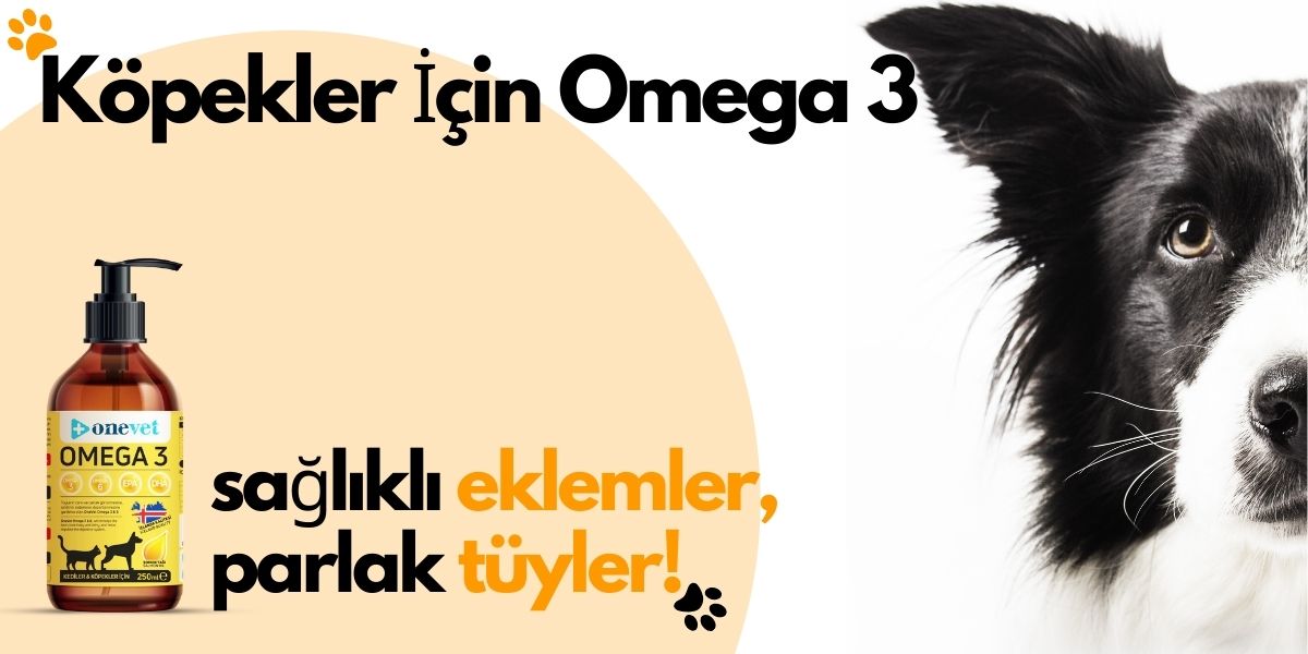 Köpekler İçin Omega 3 Takviyesi