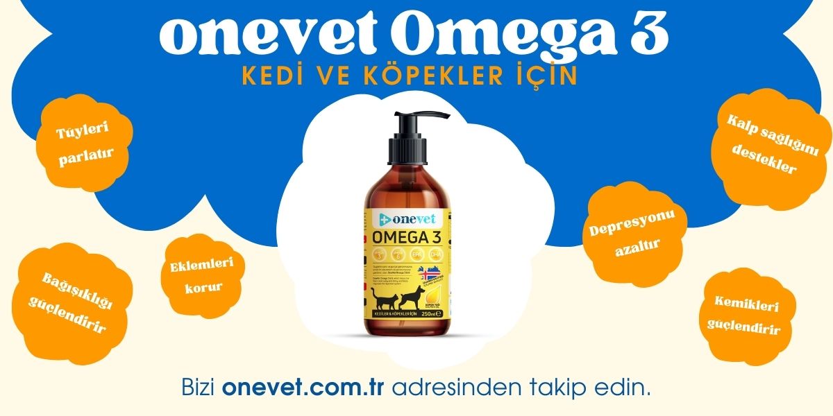 Onevet omega 3 takviyesi