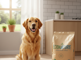 A photorealistic, heartwarming shot of a healthy and happy adult Golden Retriever sitting attentively next to its food bowl in a bright, modern kitchen