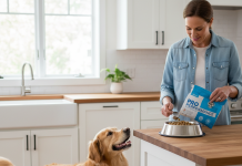 A photorealistic, heartwarming shot of a healthy and happy Golden Retriever looking up lovingly at its owner