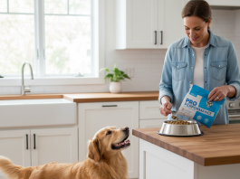A photorealistic, heartwarming shot of a healthy and happy Golden Retriever looking up lovingly at its owner